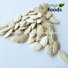 Chinese Raw Shine Skin Pumpkin Seeds In Shell